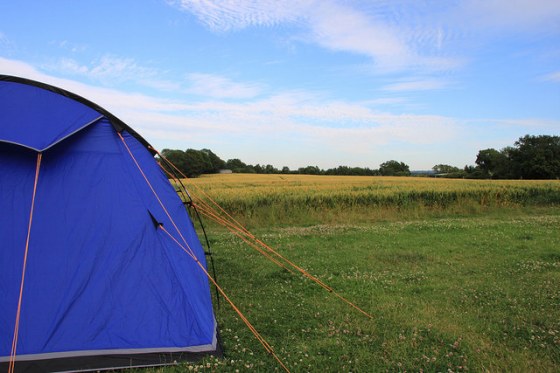 19533200848_8352de8994_z