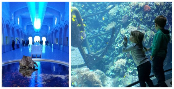 AntwerpAquarium
