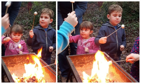 CoombeMillMarshmallows