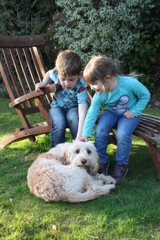 25942973122_e00b682a34_k (1)