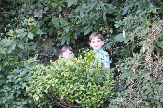 26035516585_18d03fec94_k