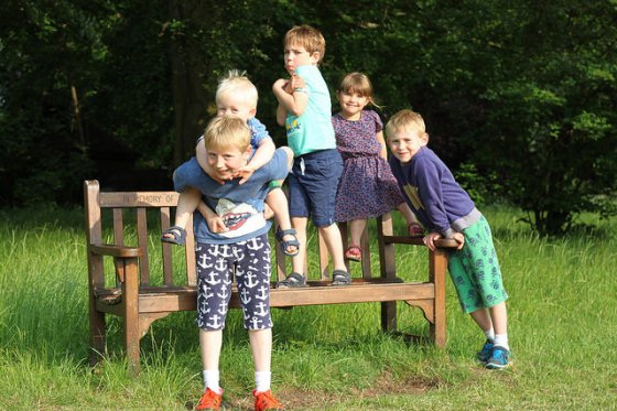 26705082214_48329f413a_z