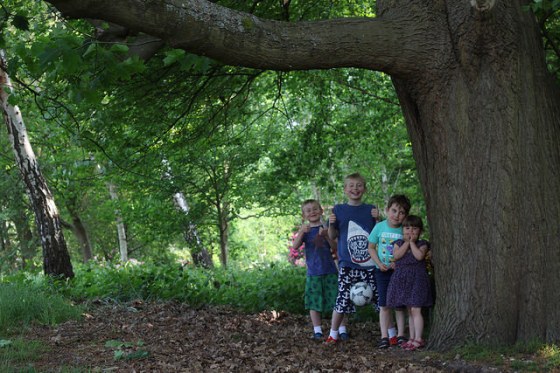 27312150265_0c930efd33_z