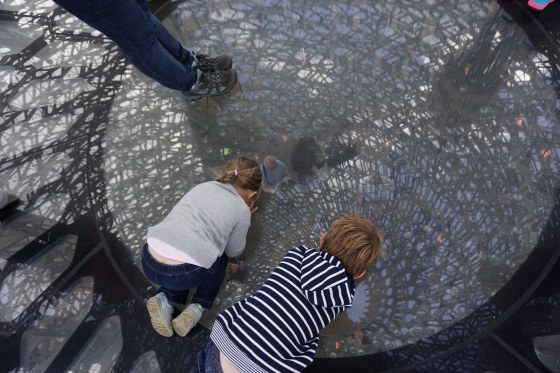 29447962014_44fddf92bc_k