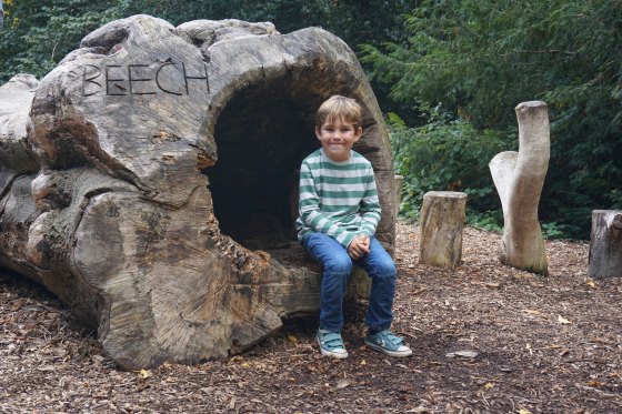 29448821403_c1971e831c_k