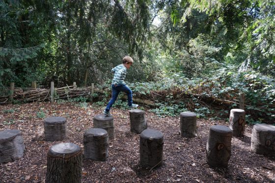 29448824853_83d9a86ddd_k