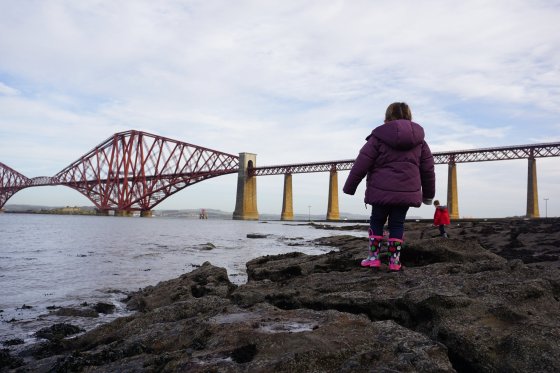 29995633384_043c8969fa_k