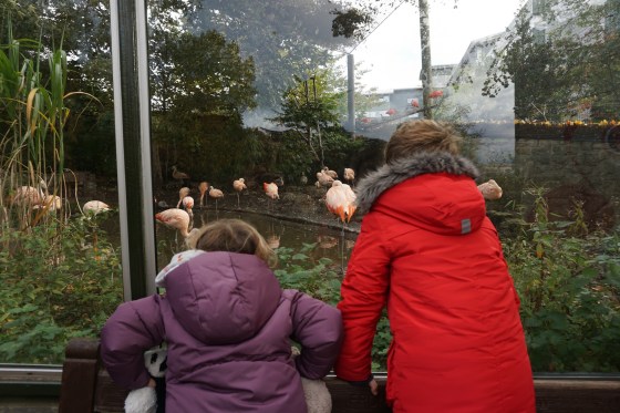 30591359516_a72a7a6ad5_k