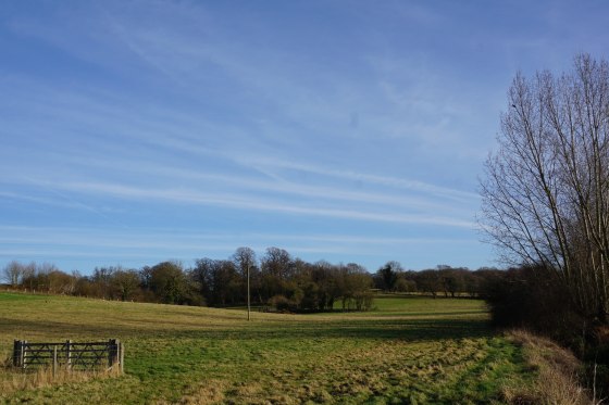 31080761064_542eb0717b_k