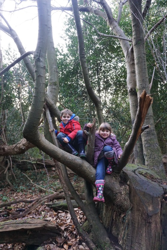 31111730203_71f923b6a5_k