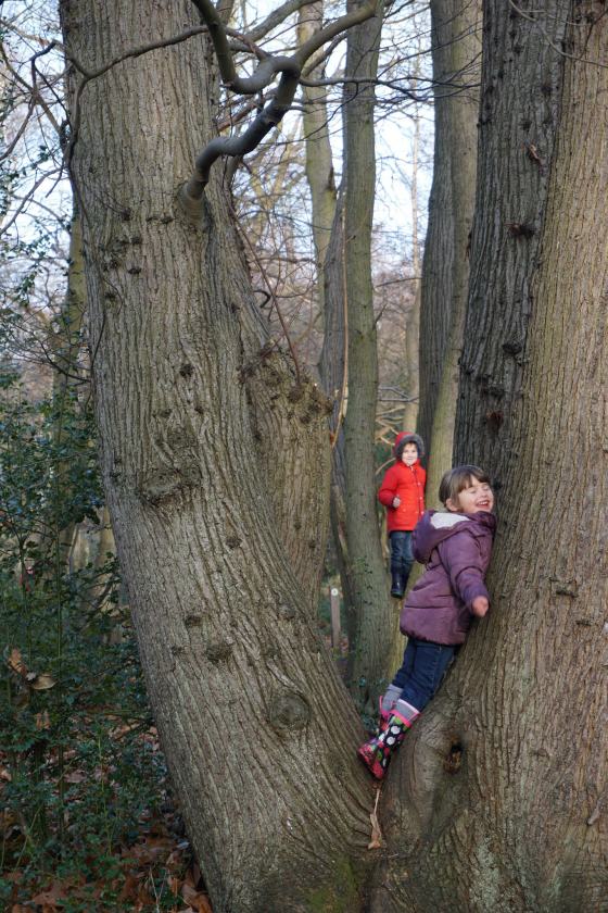 31547952420_1e6e96ed39_k