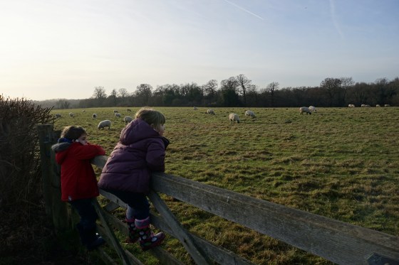 31547961930_9738e2d195_k