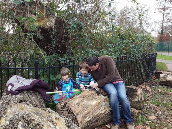 31767319552_7be14ce4ce_z-1