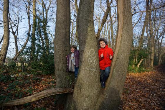 31804558811_20b6685964_k