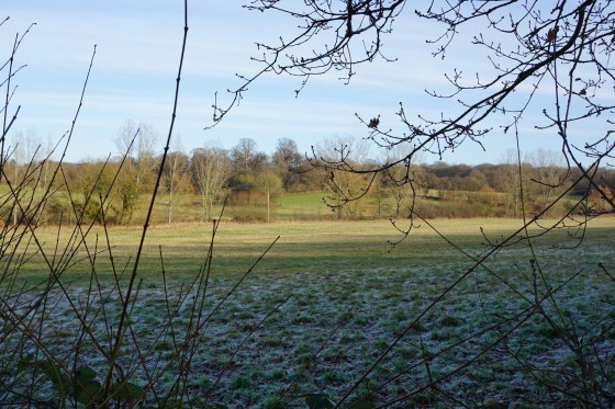 31920782485_86e74df81b_k