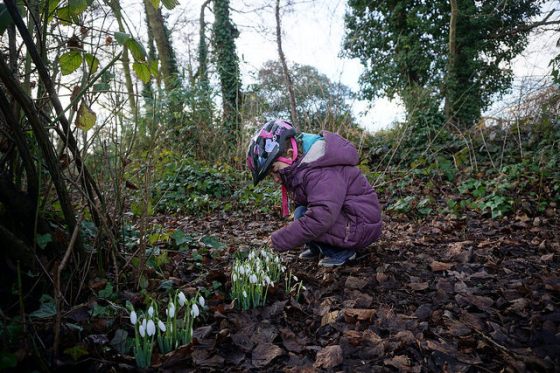 31864208324_21c6ba902f_z