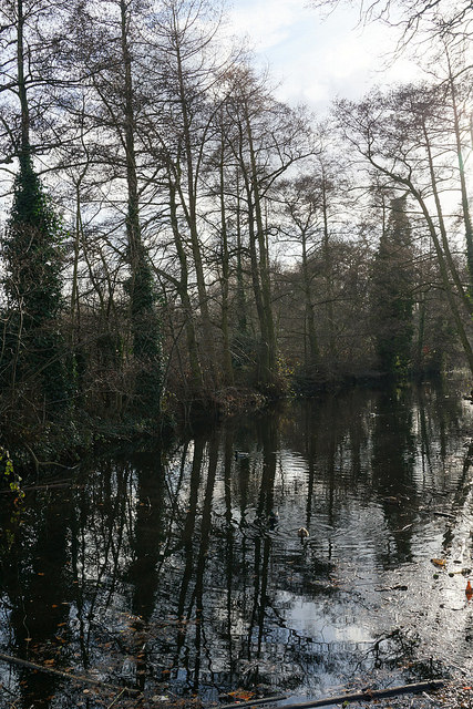 31894158313_8c034956f7_z