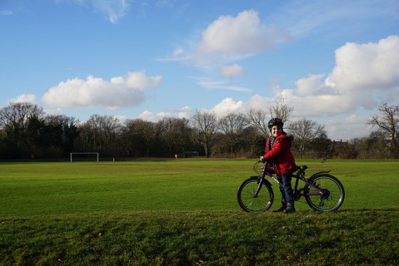 32554370772_9232b54b74_z