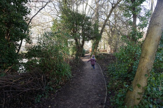 32554470292_9df2de8e92_z