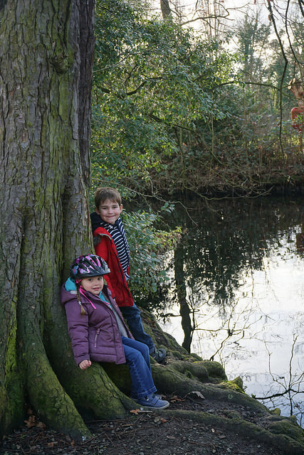 32554507942_7d8133ea49_z