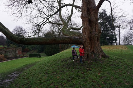 32568607251_98772484f3_z