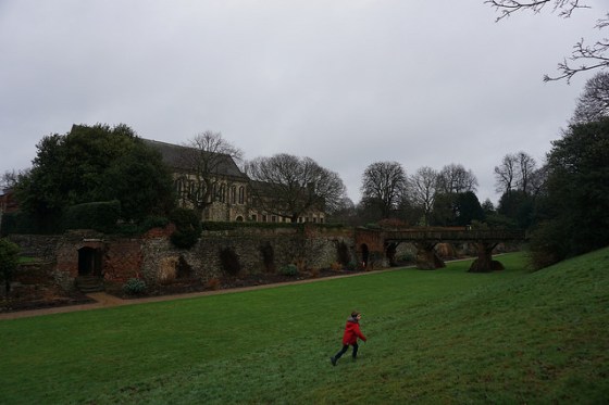 32568612911_a6f236569f_z